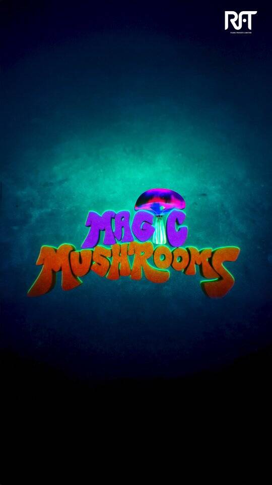 Instagram post from rftfilms. This post is in position 3.